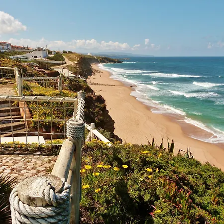 Ana Margarida 에리세이라