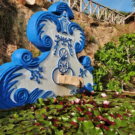 Ana Margarida 에리세이라