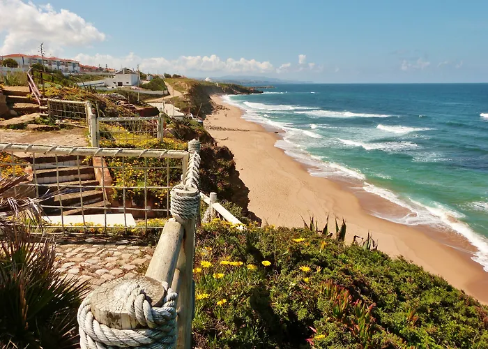 Ana Margarida אריסרייה